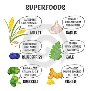Superfoods collection. Millet, blueberry, broccoli, garlic, kale, ginger.