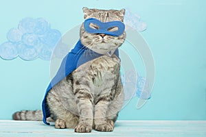 superhero cat, Scottish Whiskas with a blue cloak and mask. The concept of a superhero, super cat, leader