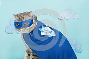 superhero cat, Scottish Whiskas with a blue cloak and mask. The concept of a superhero, super cat, leader