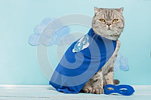Superhero cat, Scottish Whiskas with a blue cloak and mask. The concept of a superhero, super cat, leader photo