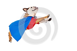 Superhero Dog Flying