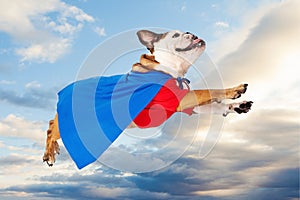 Superhero Dog Flying Through Clouds