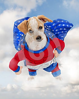 Superhero Dog Standing on Cloud