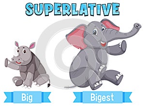 Superlative Adjectives for word big