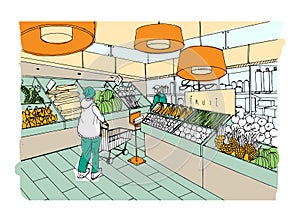 Supermarket interior hand drawn colorful illustration. Grocery store, vegetable department.