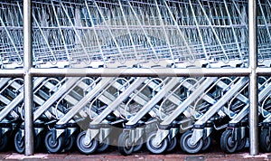 Supermarket shopping carts