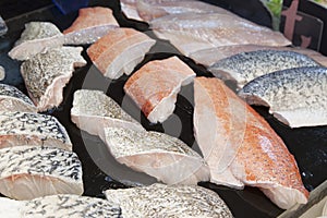 Supermarket stall with raw fish