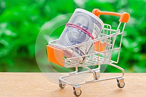 supermarket trolley on a green background. The concept of shopping online. Place market, commerce, Internet commerce. Ordering