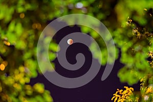 2015 supermoon lunar eclipse