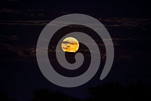 Supermoon rising through clouds illuminating sky