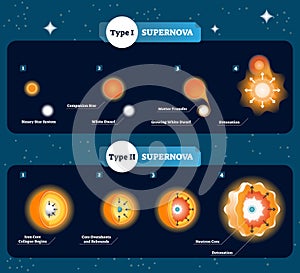 Supernova vector illustration. how stars become to big bang and explosion. Explained companion star, matter transfer and dwarf.