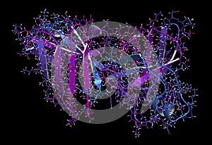 Superoxide dismutase 1 (SOD1) enzyme. Converts superoxide radical in hydrogen peroxide. Gene mutations cause ALS (amyotrophic