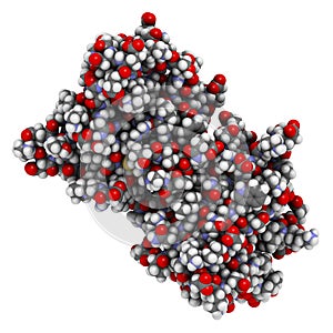 Superoxide dismutase 1 (SOD1) enzyme. Converts superoxide radical in hydrogen peroxide. Gene mutations cause ALS (amyotrophic