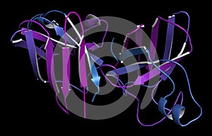 Superoxide dismutase 1 SOD1 enzyme. Converts superoxide radical in hydrogen peroxide. Gene mutations cause ALS amyotrophic.