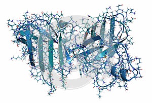 Superoxide dismutase 1 SOD1 enzyme. Converts superoxide radical in hydrogen peroxide. Gene mutations cause ALS amyotrophic.