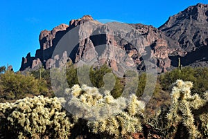 Superstition Mountain with cholla photo