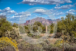 Superstition Mountains