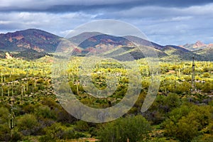 Superstition Mountains Foothills Arizona