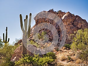 Superstitions Mountains Wilderness in Arizona