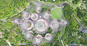 Supertree Grove aerial footage, drone is going down above it Gardens By the Bay, Singapore