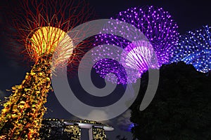 Supertree Grove in Gardens by the Bay