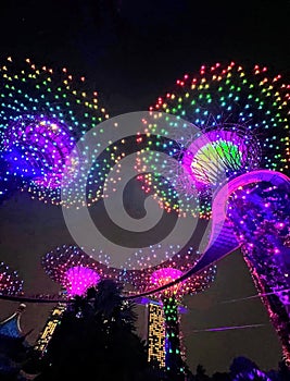 Supertree Grove, Gardens by the Bay, singapure