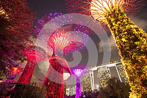 Supertree grove and Marina Bay Sands, Singapore