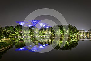 Supertree Grove at night
