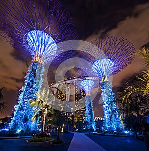 Supertrees, Garden by the Bay Singapore photo