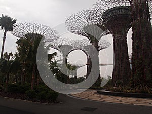SuperTrees in Gardens by the Bay, Singapore