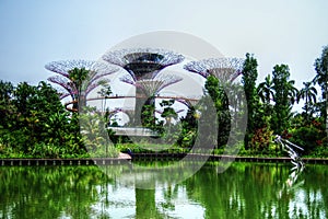 Supertrees greenhouse and dragonfly lake - Singapore - Gardens by the Bay photo