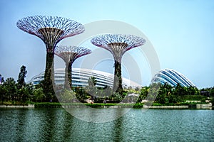 Supertrees greenhouse and dragonfly lake - Singapore - Gardens by the Bay photo