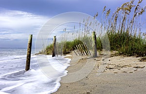 Supper Moon High Tide at Edisto Beach