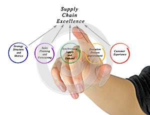 Supply Chain Excellence photo