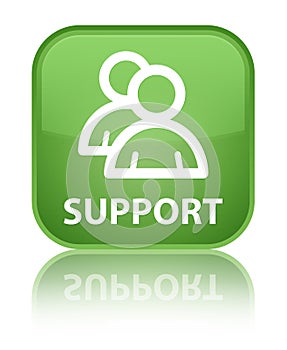 Support (group icon) special soft green square button