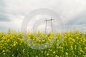 Support high-voltage power lines