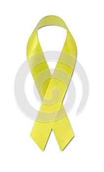 Support Our Troops ribbon