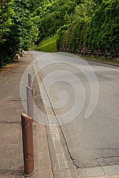 support wall covered with vegetation and greenery at the edge of a road