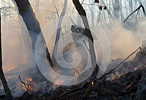 Suppression of Forest Fire 11