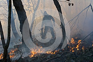 Suppression of Forest Fire 21