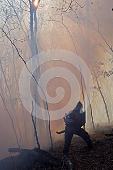 Suppression of Forest Fire 28