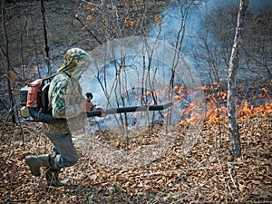 Suppression of Forest Fire 7