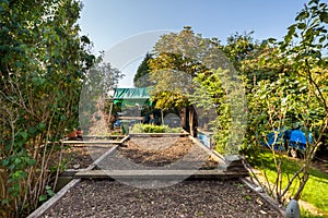 Garden vegetable patch