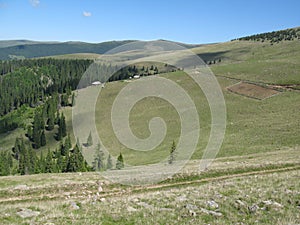 Sureanu alpine meadow