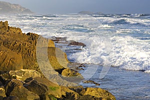 Surf along rocky coastline