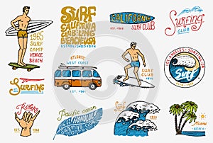 Surf badge and wave, palm tree and ocean. tropics and california. man on the surfboard, summer on the beach and the sea