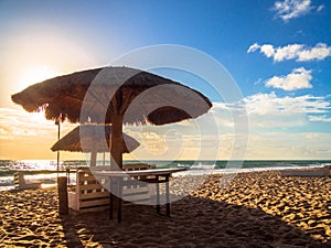 Surf beach Brazil