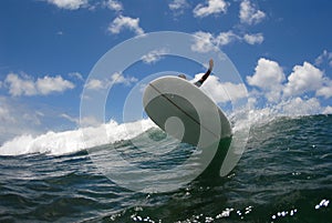 Surf big cutback