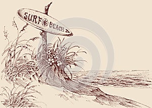 Surf board indicating direction to the beach