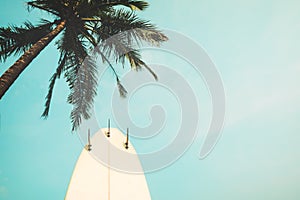 Surf board with palm tree in summer season